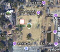 熊本城二の丸広場　お花見ワイン会